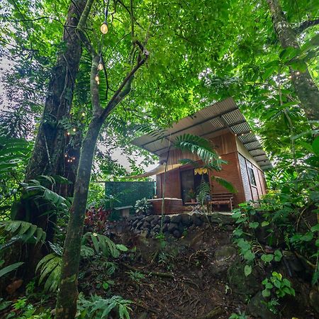 The Frog House La Fortuna Exterior foto