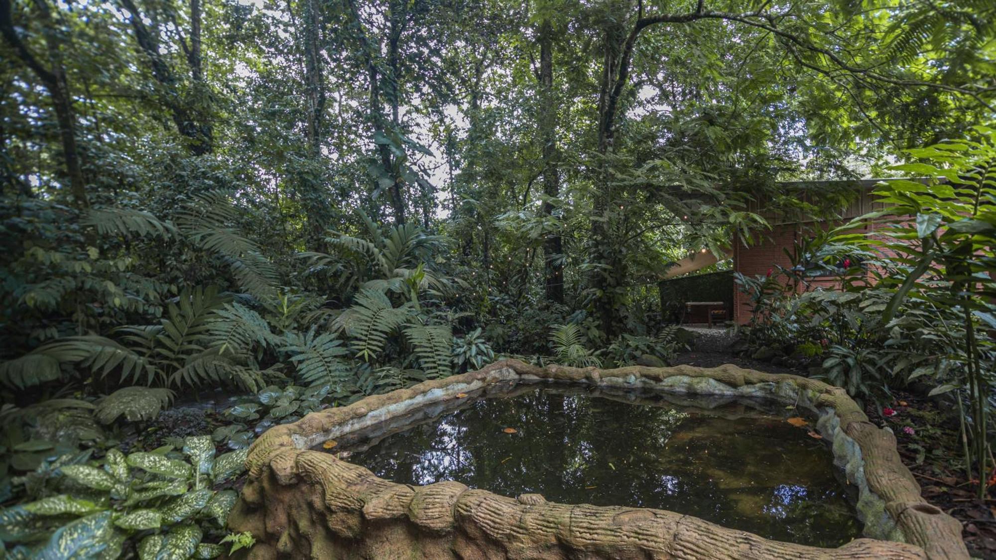 The Frog House La Fortuna Exterior foto
