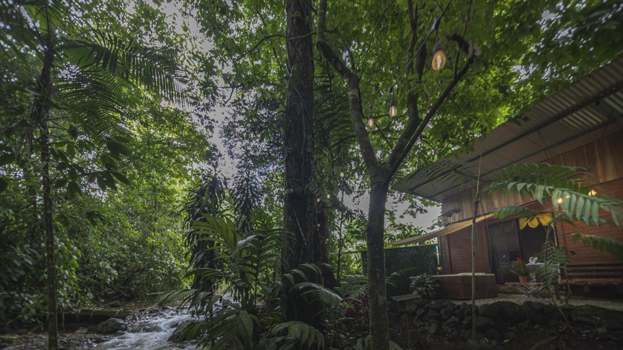 The Frog House La Fortuna Exterior foto