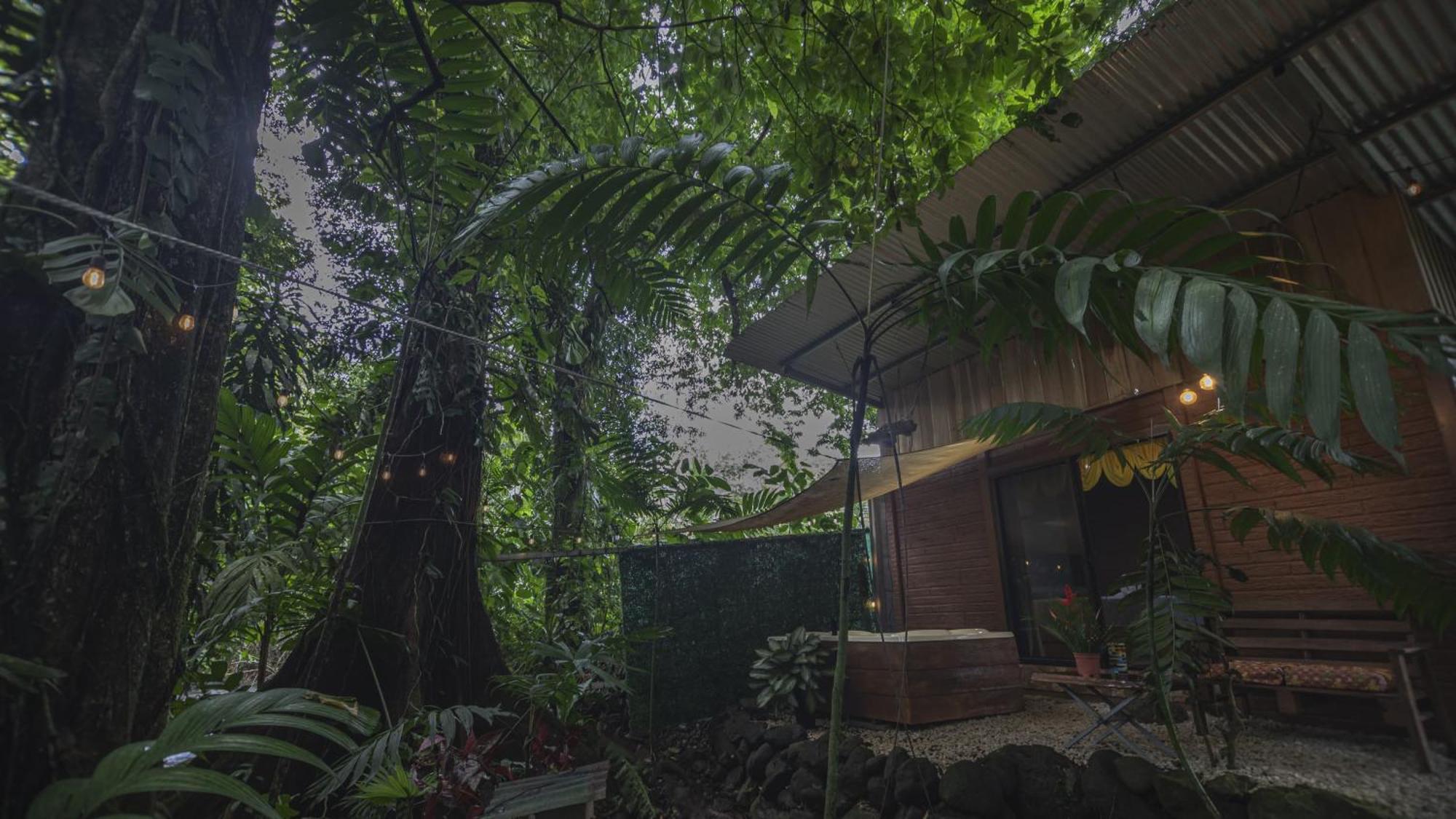 The Frog House La Fortuna Exterior foto