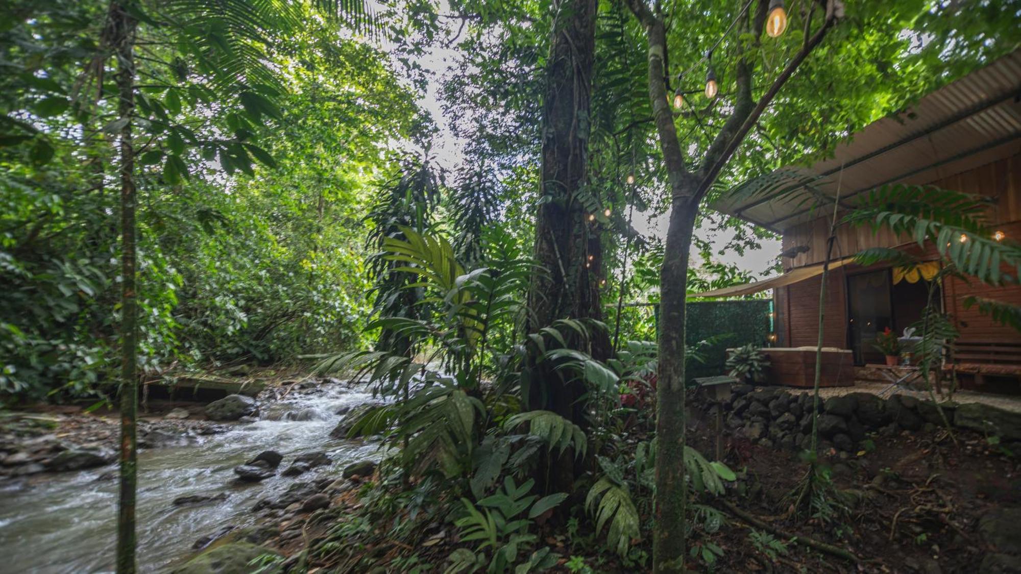 The Frog House La Fortuna Exterior foto