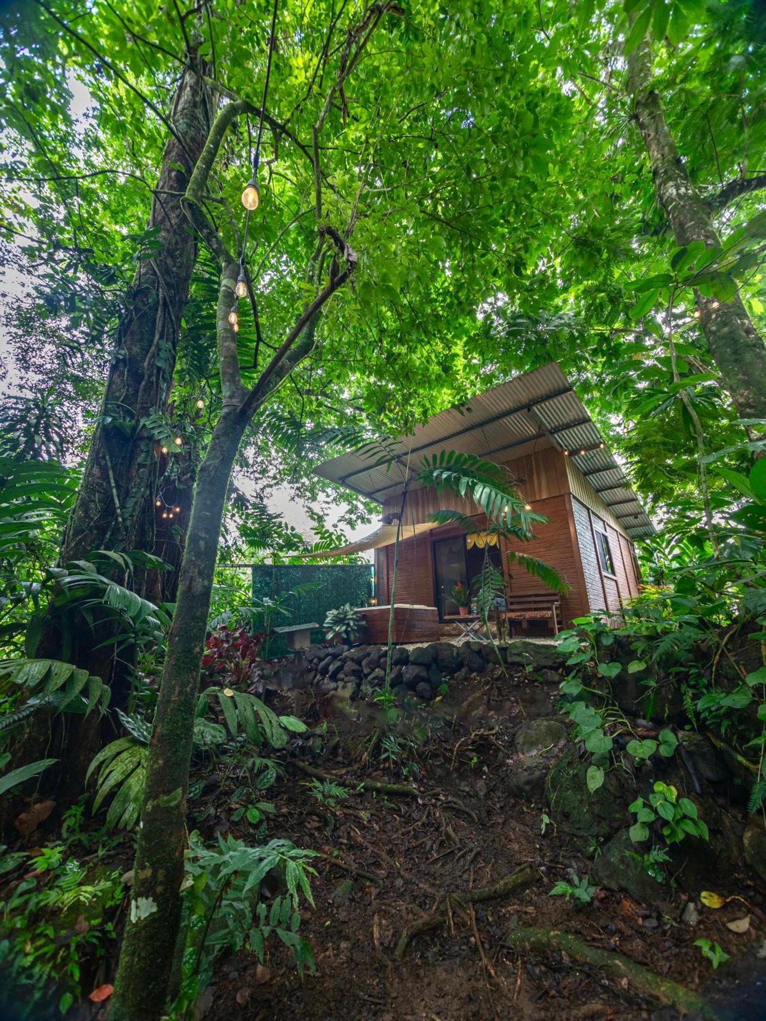 The Frog House La Fortuna Exterior foto